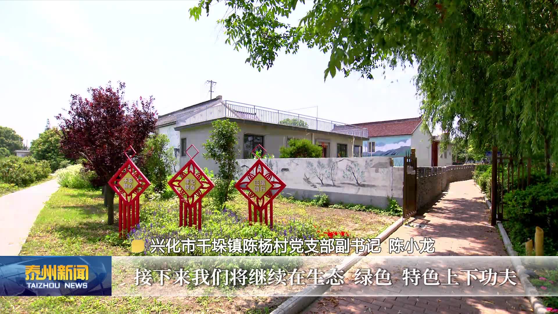奋进泰州新图景·江河湖海  让垛田花海绽放出绿色生态发展底色